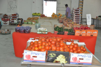 جديد في اللد: سوق "سيتونائي" لكافة أنواع الخضار والفواكه بإدارة جلال 